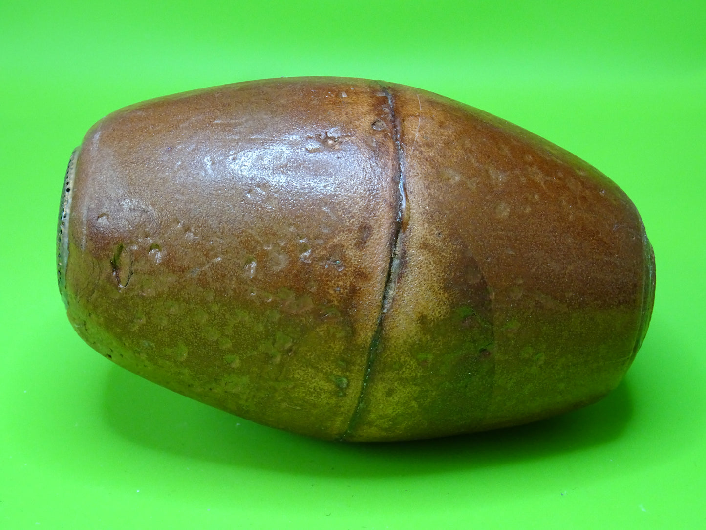 Sughero sonoro