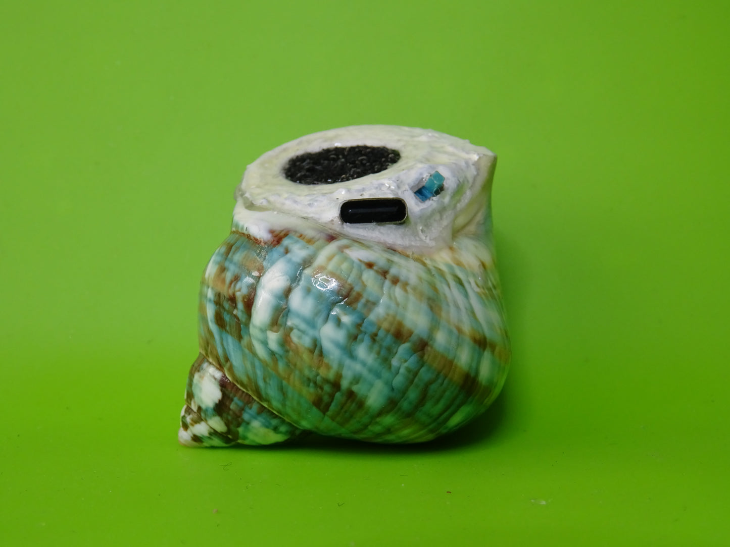 Conchiglia sonora liscia G1