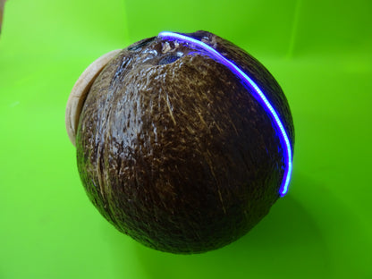 CoccoBox stereo